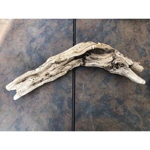 Natural Driftwood for Plants Terrarium Taxidermy Art Projects‎